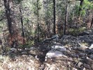 photo thumbnail #6