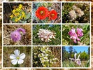 photo thumbnail #15