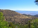 2018-05-25 :1: Woodchute - Martin Canyon Loop :: kingsnake