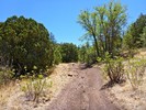 photo thumbnail #11