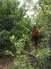photo thumbnail #5