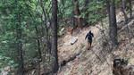 photo thumbnail #6