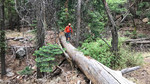 photo thumbnail #7