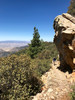 photo thumbnail #5