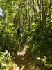 photo thumbnail #11