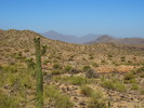 photo thumbnail #12