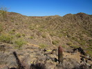 photo thumbnail #14