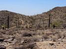 photo thumbnail #15