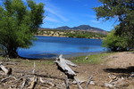 photo thumbnail #8
