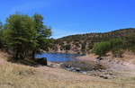 photo thumbnail #12