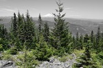 photo thumbnail #13
