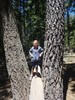photo thumbnail #2
