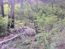 photo thumbnail #12