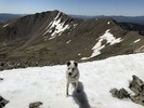 photo thumbnail #6