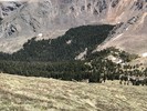 photo thumbnail #11