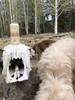 photo thumbnail #4
