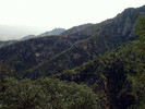 photo thumbnail #10