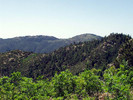 photo thumbnail #14