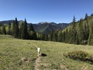photo thumbnail #2