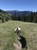 photo thumbnail #4