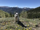 photo thumbnail #6