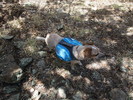 photo thumbnail #1