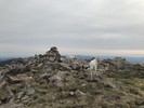 photo thumbnail #14