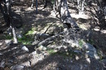 photo thumbnail #2