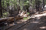 photo thumbnail #7