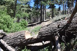 photo thumbnail #5