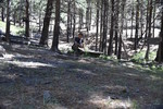 photo thumbnail #9