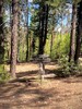 photo thumbnail #15