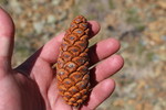 photo thumbnail #10