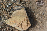 photo thumbnail #15