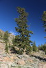 2018-05-26 :1: Mount Eddy Trail :: JimmyLyding