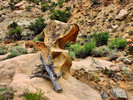 photo thumbnail #4