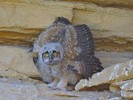 2018-05-24 :: San Rafael Swell Part 2 :: RedRoxx44