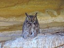 2018-05-24 :: San Rafael Swell Part 2 :: RedRoxx44