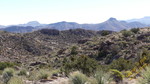 photo thumbnail #2