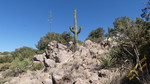 photo thumbnail #7