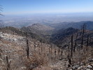 photo thumbnail #5
