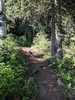 photo thumbnail #2