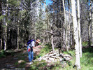 photo thumbnail #3