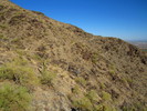 photo thumbnail #10