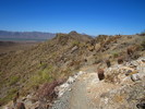 photo thumbnail #11