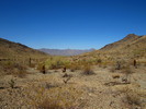 photo thumbnail #12