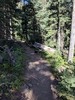 photo thumbnail #10