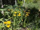 photo thumbnail #13
