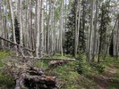 photo thumbnail #9