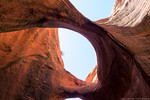 photo thumbnail #3